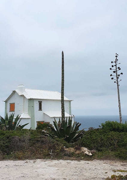 SUMMER  IN PORTUGAL  #01
