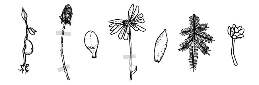 WHAT DO WE DO TO ACCOMPLISH OUR ECO-GOALS?