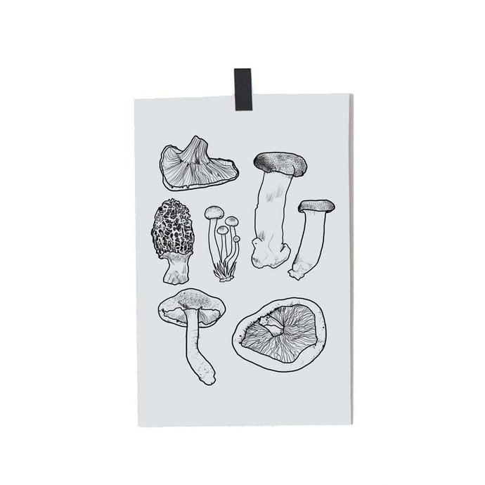 Severina Kids Mushrooms poster