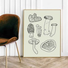 Severina Kids Mushrooms poster